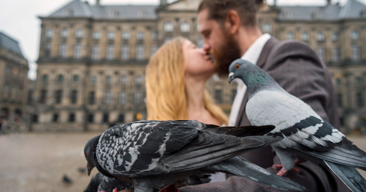 Van egy rossz hírünk a szerelmeseknek: a hűség mintaképei valójában csapodárok