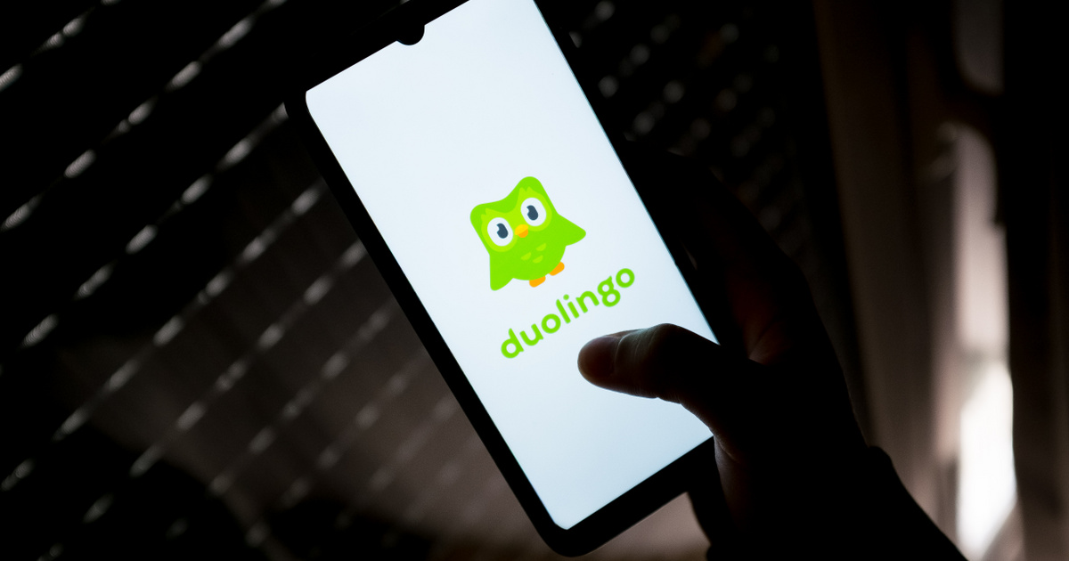 Kiderült, mi okozhatta a Duolingo-bagoly halálát