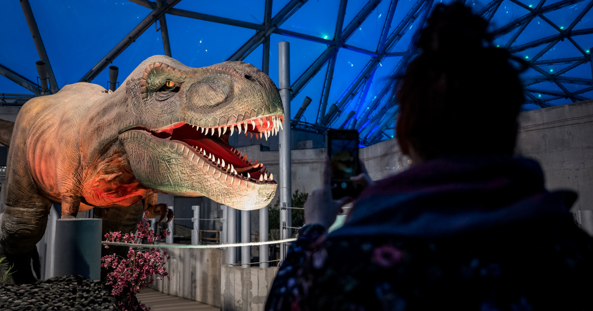 Épp csak beléptünk az ajtón, és egy T-rex üvöltött az arcunkba