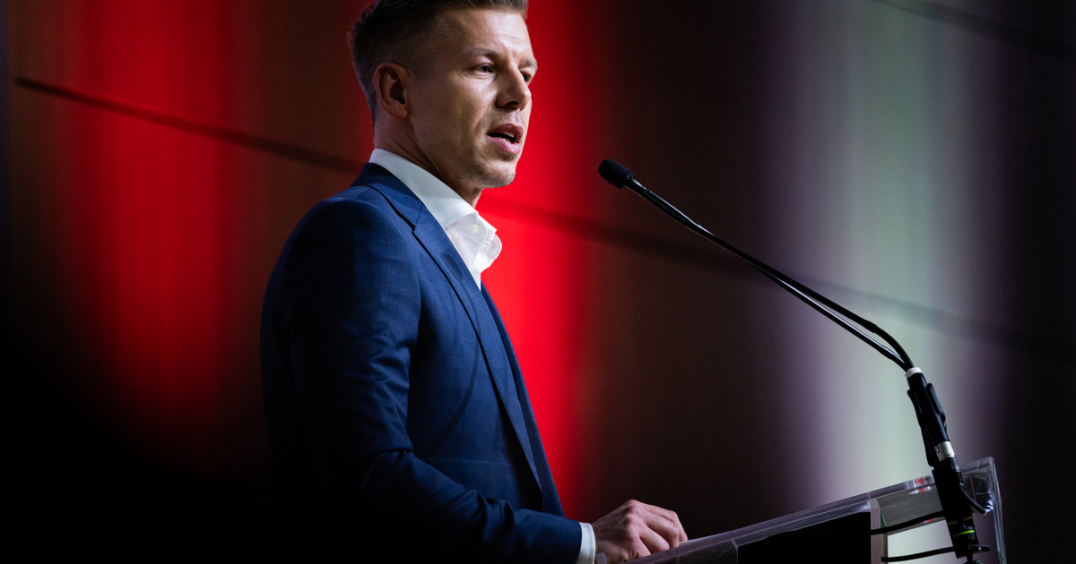 Magyar Péter válaszolt Mészáros Lőrinc nyílt levelére