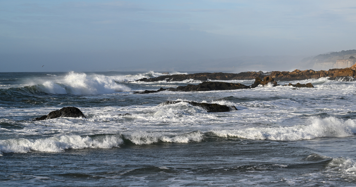 Index – Technology Science – Researchers also scratch their heads, which were found in the Pacific Ocean