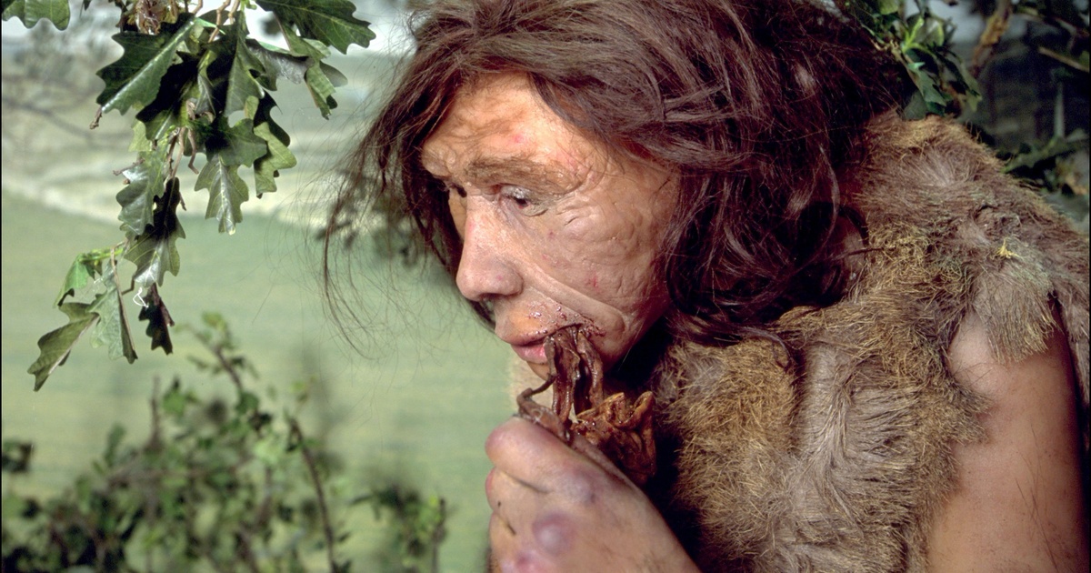 110 ezer éves rejtélyre derülhetett fény, emiatt halhattak ki a neandervölgyiek