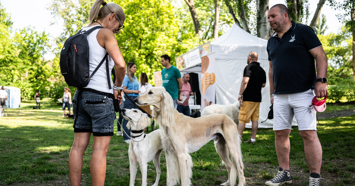 Idén tényleg a szeretet ünnepe lett a majális