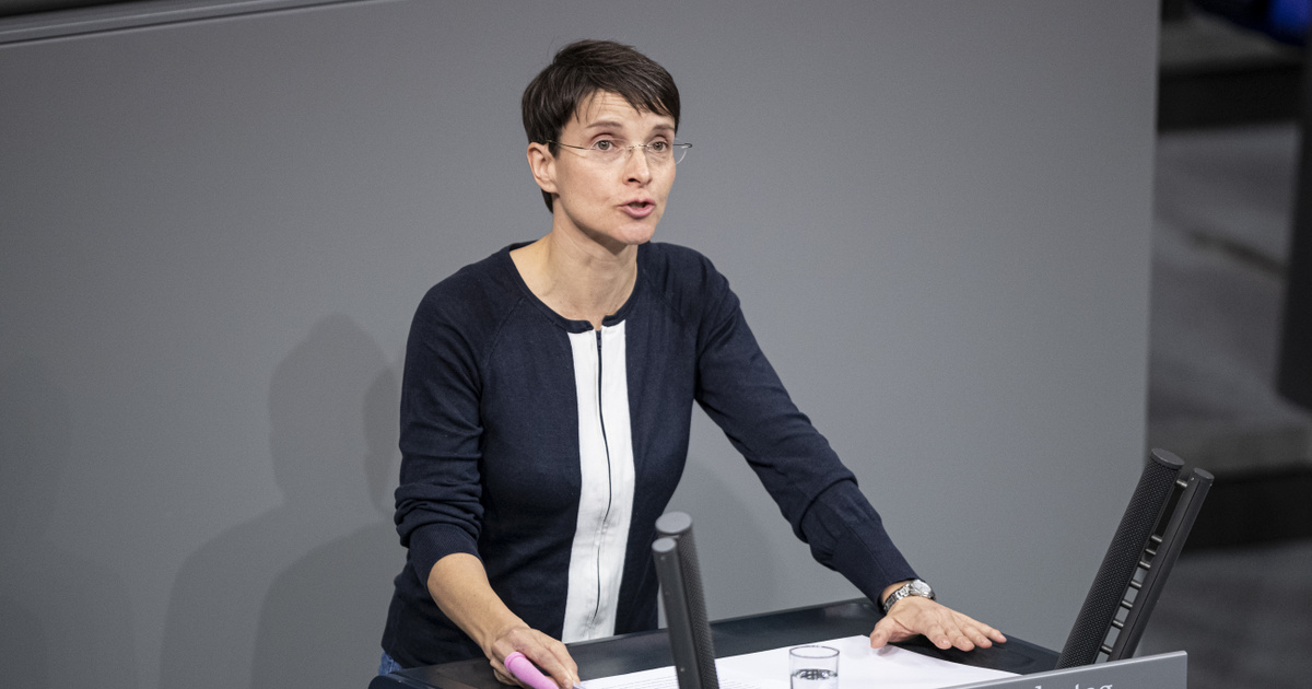 Ismét új pártot alapít az AfD egykori vezetője