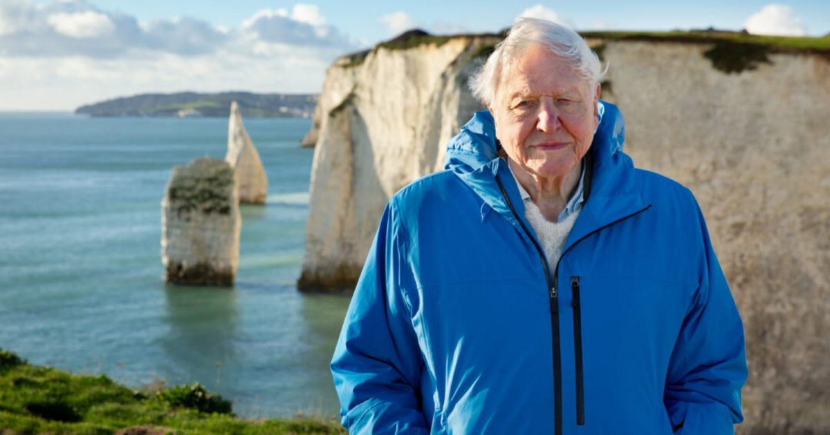 Sir David Attenborough 99 évesen pályafutása legfontosabb üzenetét adja át