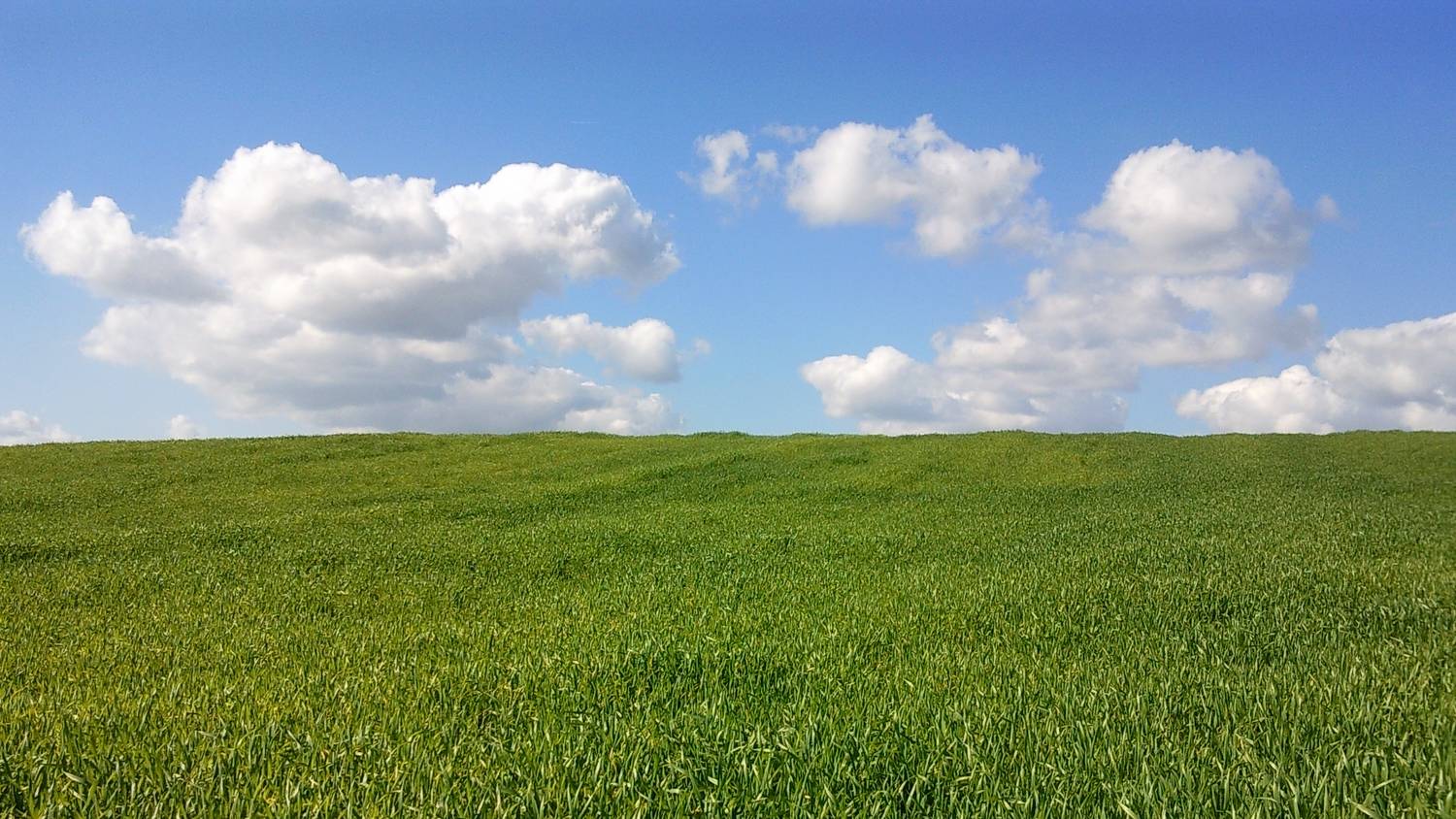 Emlékszik a Windows XP legendás hátterére? Így néz ki most a helyszíne