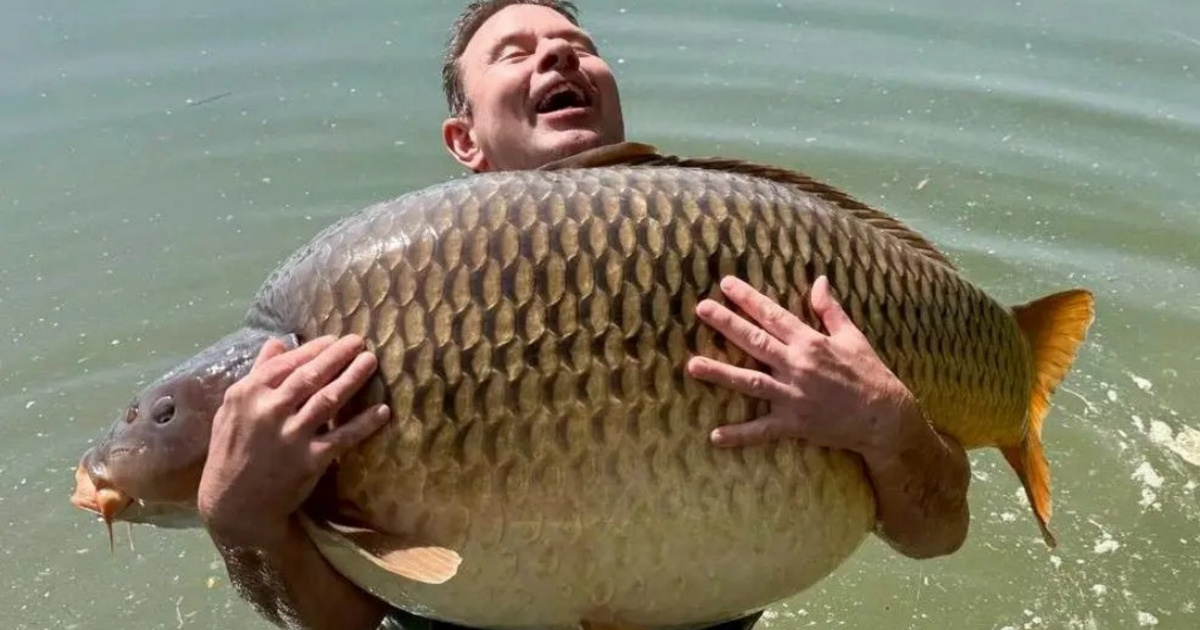 Gigantikus ponty akadt egy külföldi pecás horgára Magyarországon