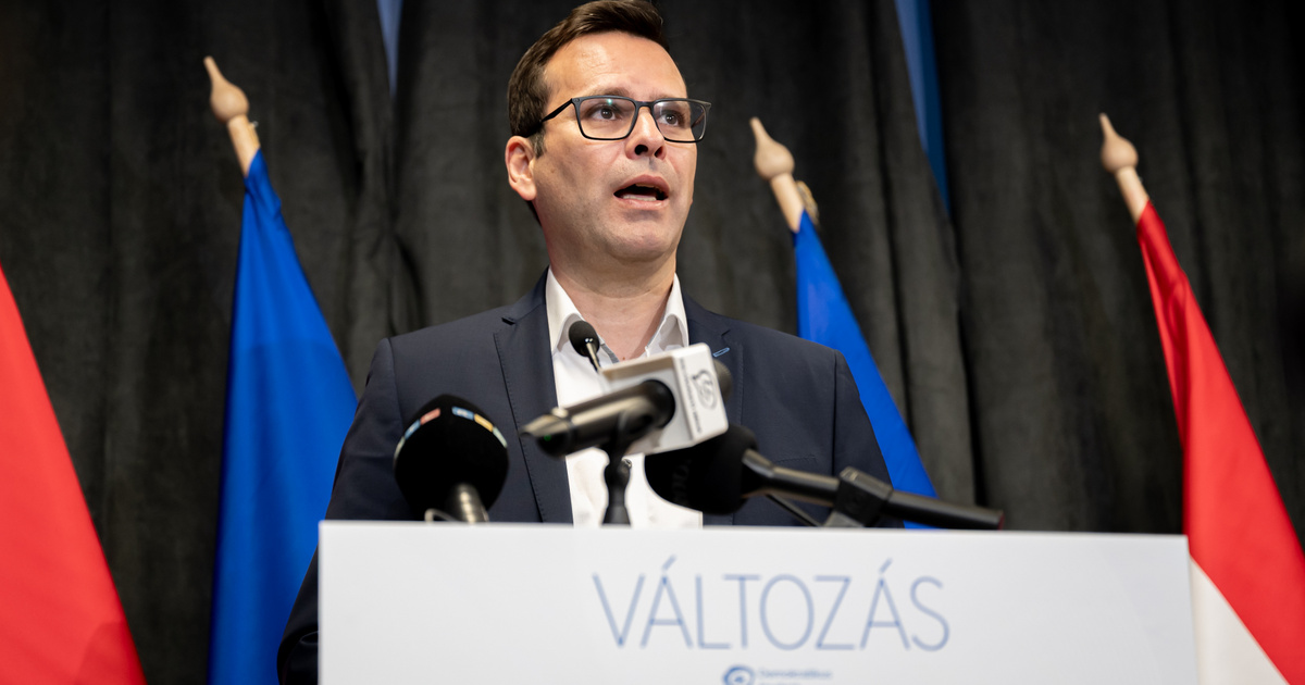 Merre tovább DK? Megszólalt Gyurcsány Ferenc ideiglenes utódja