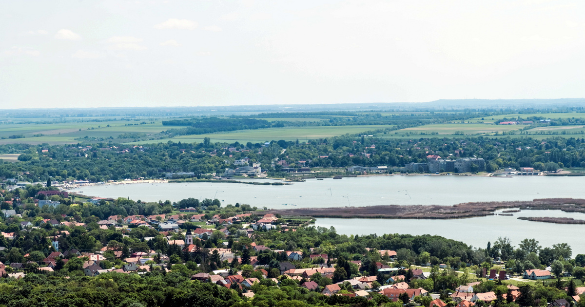 Már 1800 kilogrammnyi haltetemet szállítottak el a Velencei-tóról a tömeges halpusztulás miatt