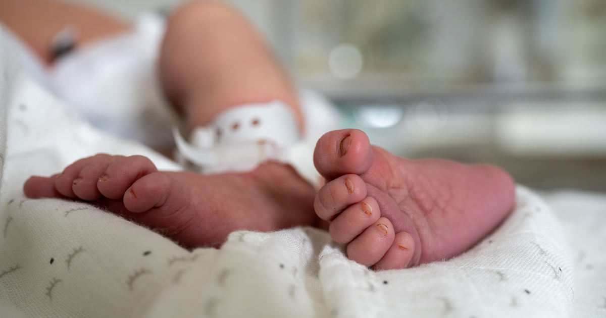 Kósa Lajos elvenné a Nyelvtudományi Kutatóközponttól az utónévjegyzék gondozását