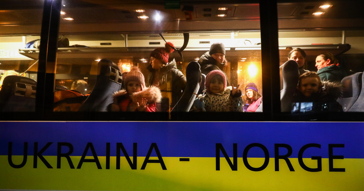 Három út, egy kihívás: Svéd, norvég és dán válaszok az ukrán menekültkérdésre