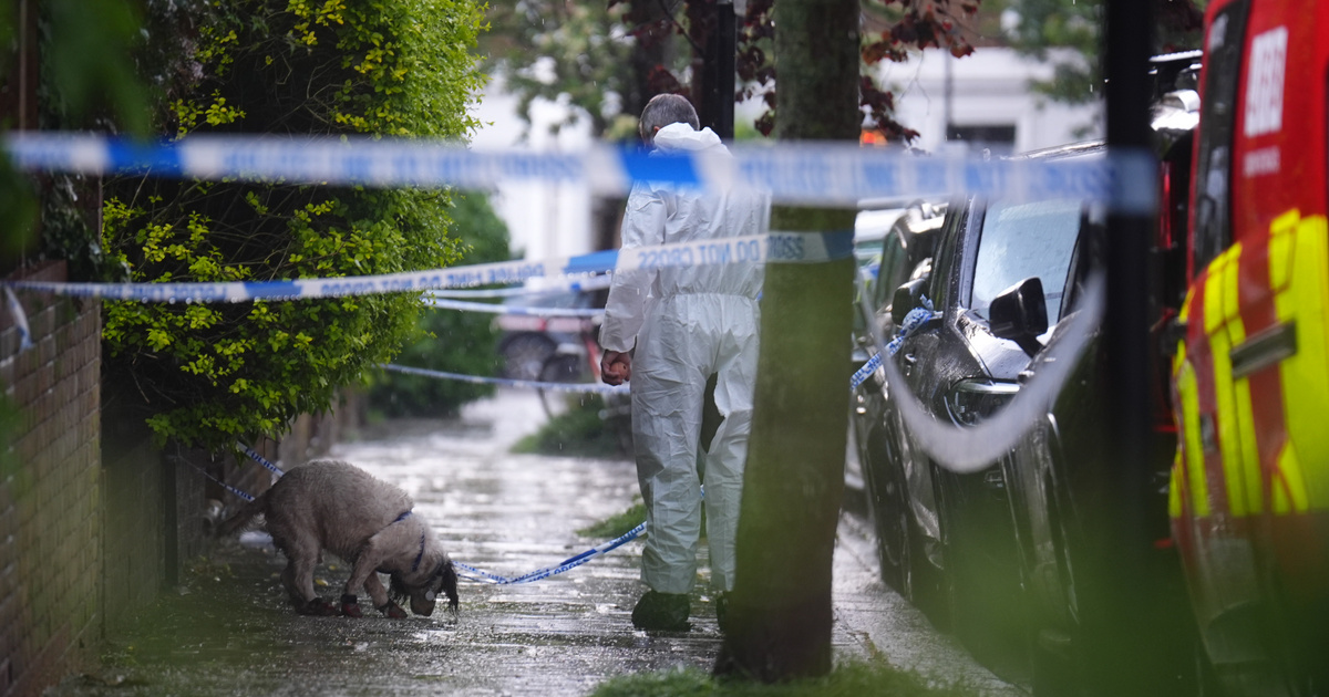 Ăšjabb gyanĂşsĂtottja van a brit miniszterelnök elleni támadásnak