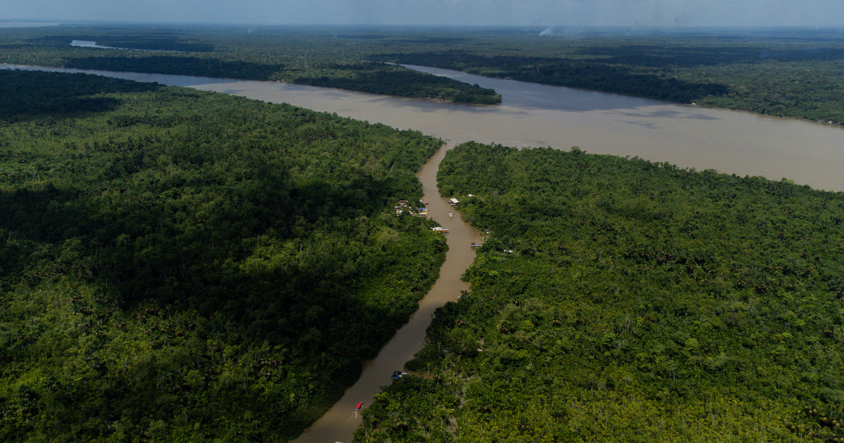 Franciaország börtönt nyit az Amazonas dzsungelében a legveszélyesebb bűnözők miatt