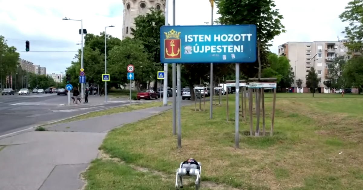 Hamarosan egy robotkutya is bevetésre indulhat Újpesten