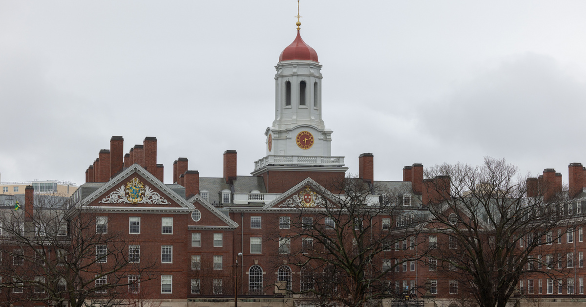 Lecsapott a Harvardra Donald Trump kormánya, figyelmeztették az amerikai egyetemeket