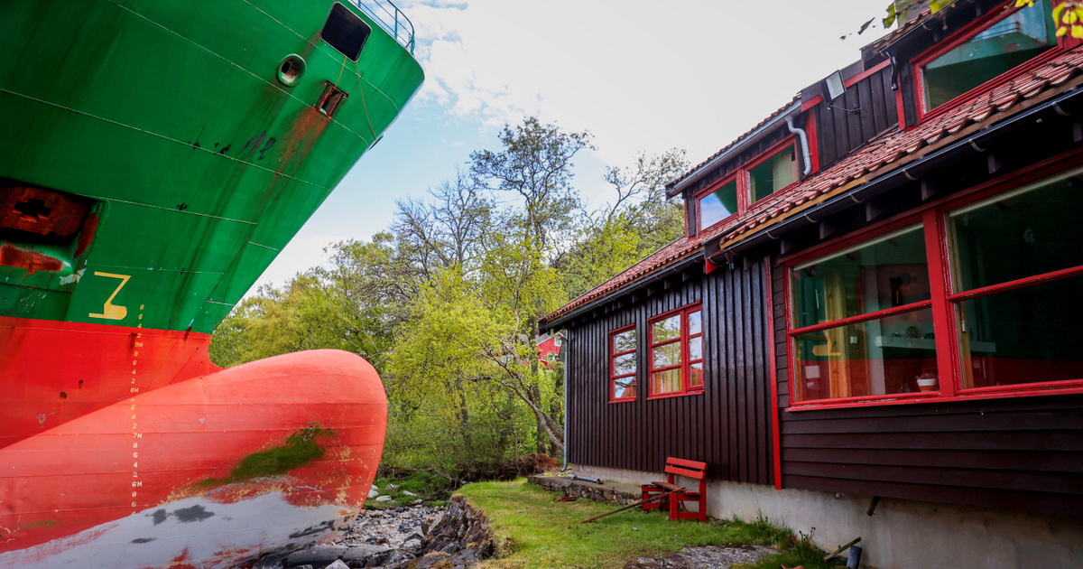 Teljesen ledöbbent egy norvég férfi, miután egy konténerszállító jelent meg a kertjében