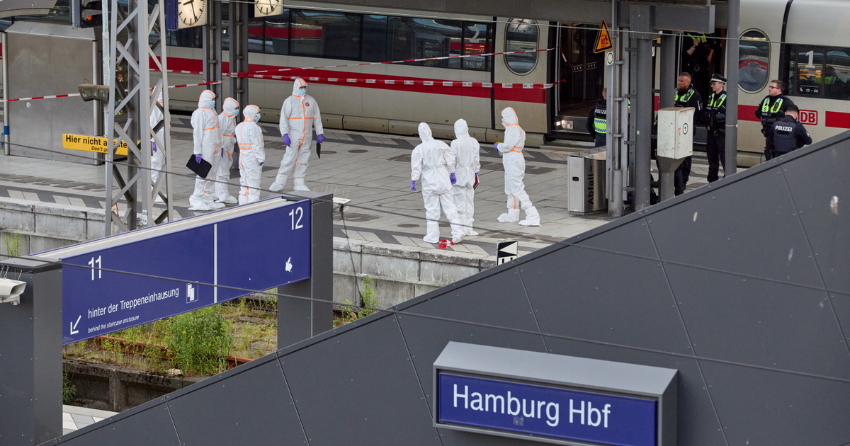 Egy nappal a támadás előtt engedték ki a pszichiátriáról a hamburgi késelőt