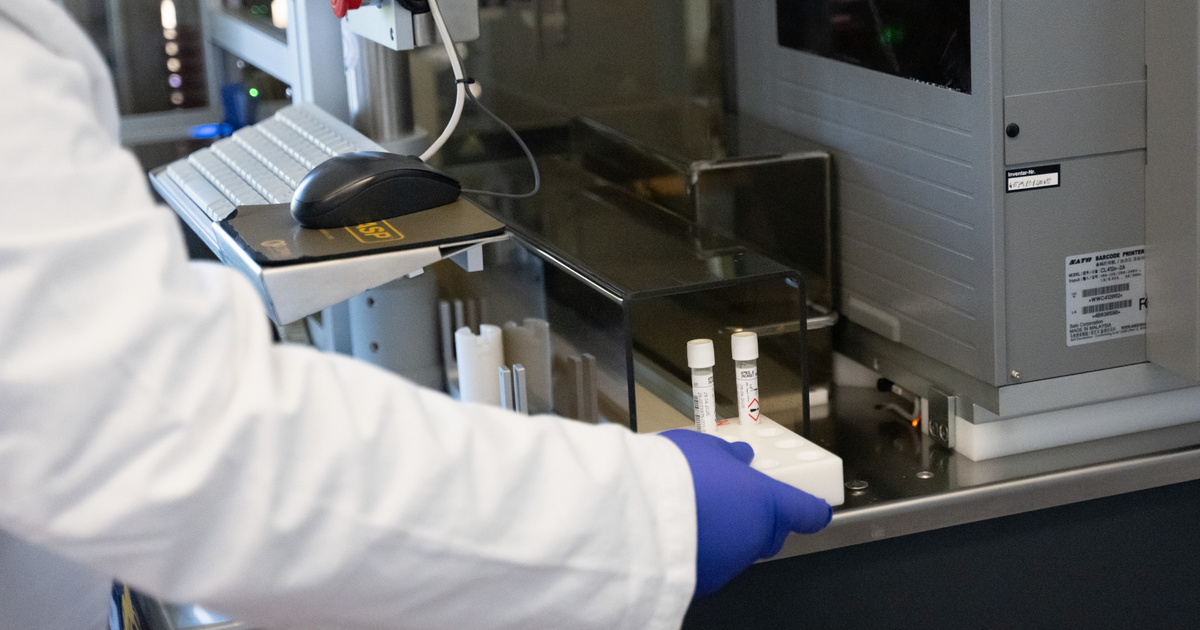 Székletátültetéssel gyógyítottak meg egy férfit, akinek a gyomra alkoholt termelt