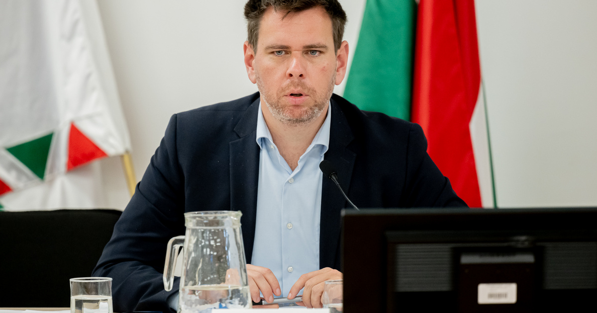 Index – Belföld – Vitézy Dávid: Budapest skizofréniában él