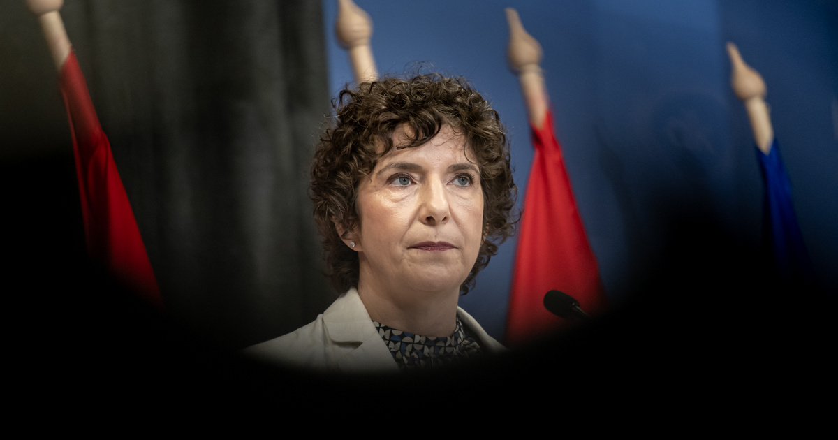 Dobrev Klára közzétette vagyonnyilatkozatát, fontos részlet derült ki a válásáról