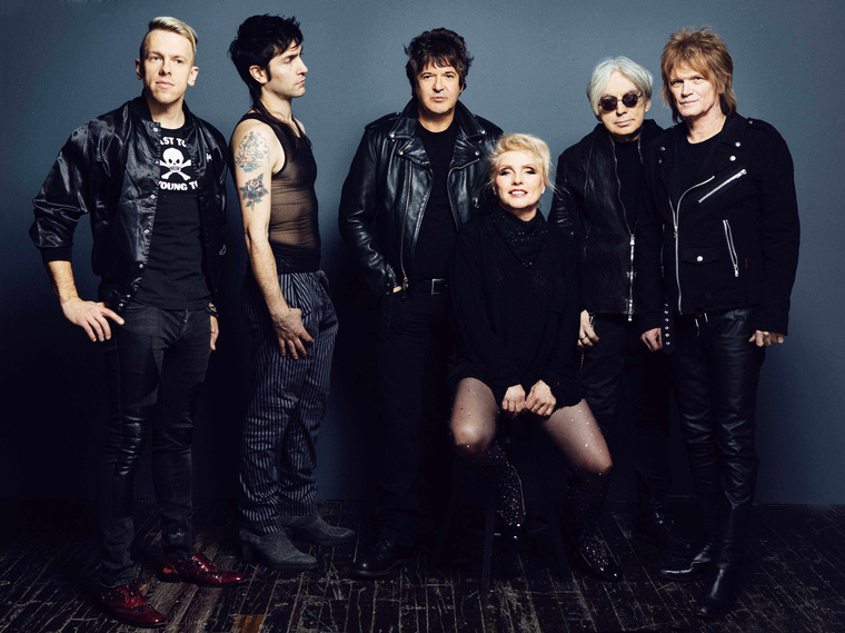 Blondie medium
