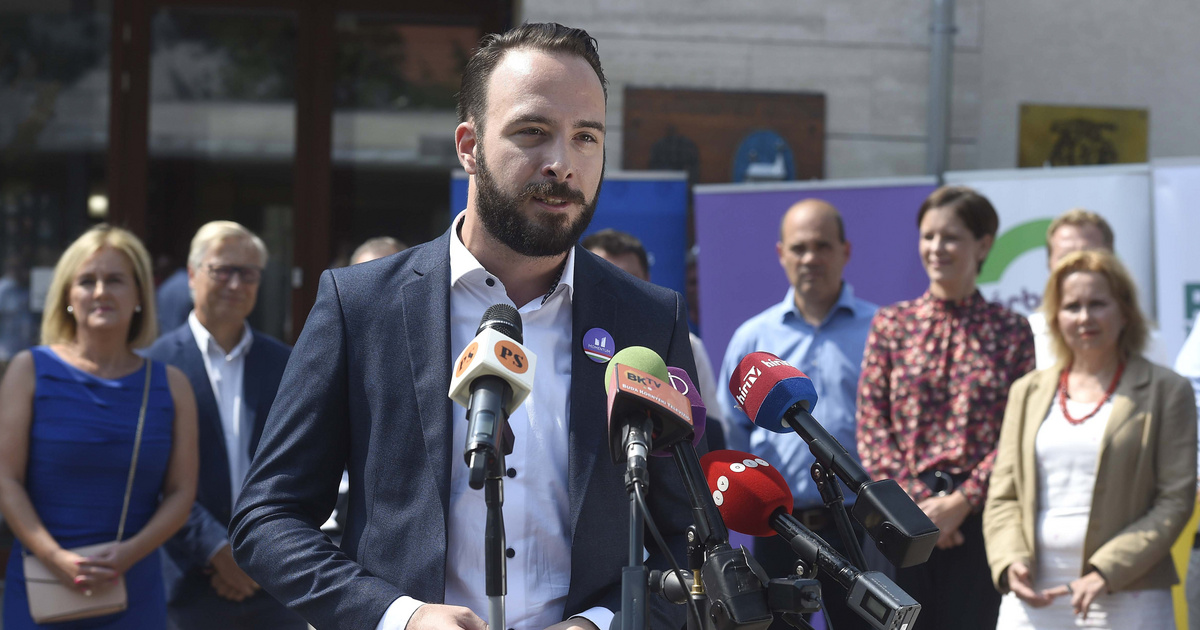 Szenvedélybetegsége miatt lemond a II. kerület momentumos alpolgármestere