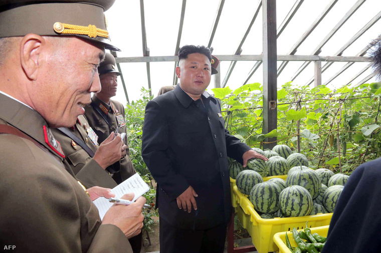 Kim Dzsongun, Észak-Korea jelenlegi vezetője
