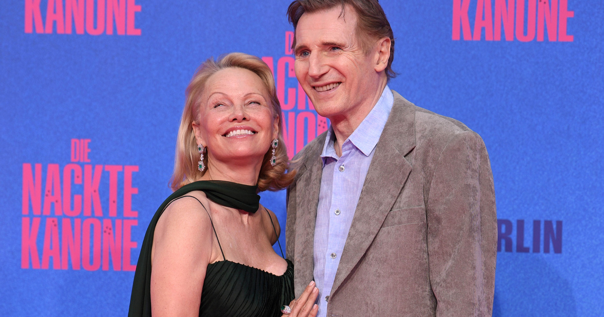 Liam Neeson elhunyt feleségének húga ezt írta Pamela Andersonnak: neki is megvan a véleménye az új sztárpárról