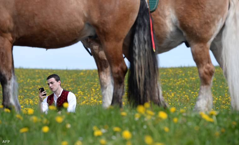 Ha eltévednénk a lovak lába közt a virágzó repceföldön, a GPS segít