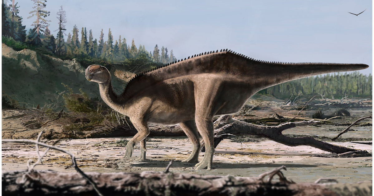 Új dinoszauruszfajt fedeztek fel a tudósok