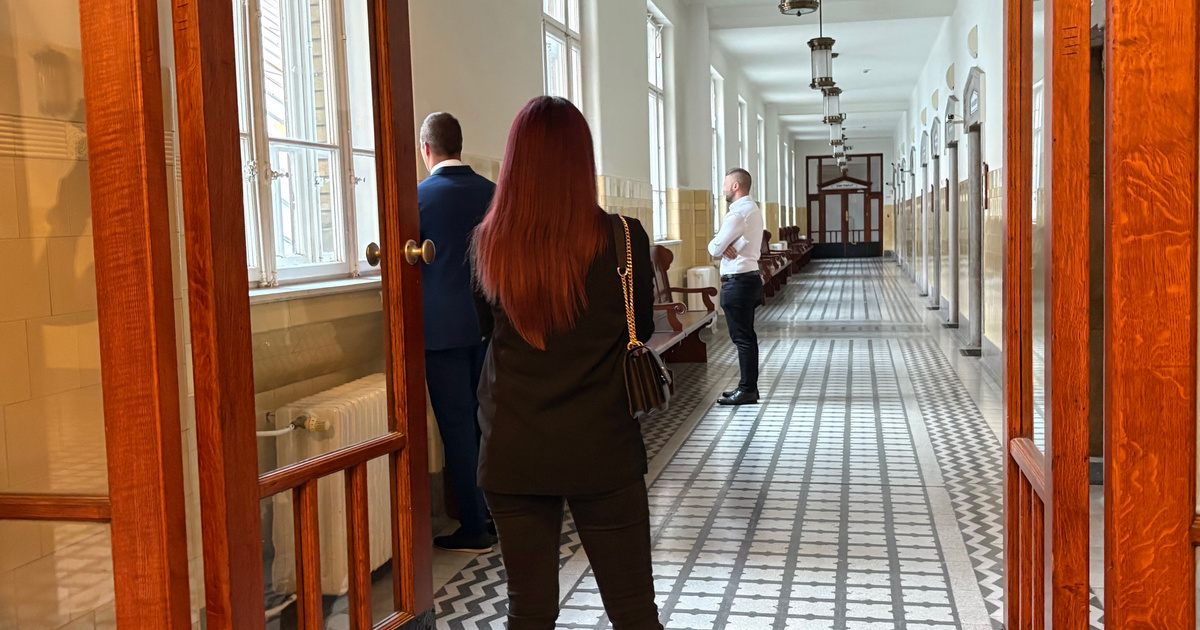 Biciklivel jár az Árpád hídi gázoló, aki megölt egy kerékpárost