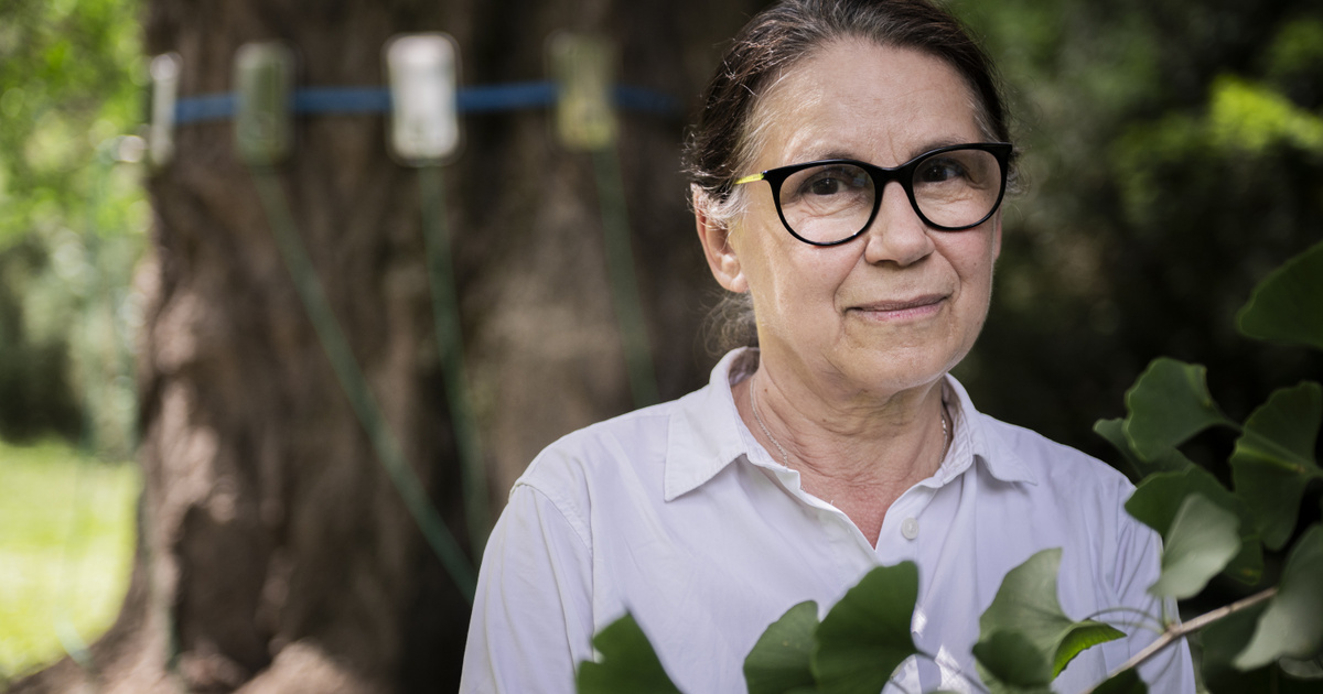 Szarvasok, fák és mágusok ünneplik a 70 éves Enyedi Ildikót