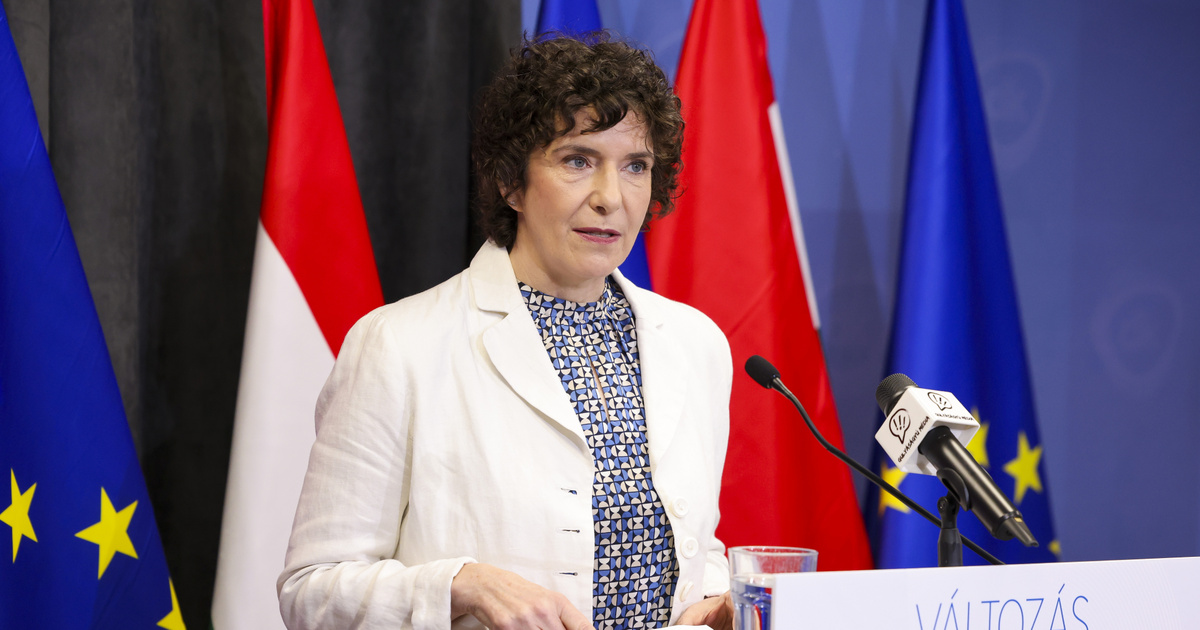 Dobrev Klára: Erre nem lehet felkészülni, a büszkeségemet és az erőmet nem fogják tudni elvenni