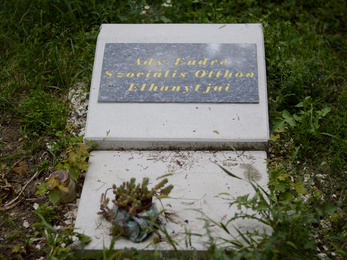 Tömegsírba temetik a péceli idősotthon halottjait