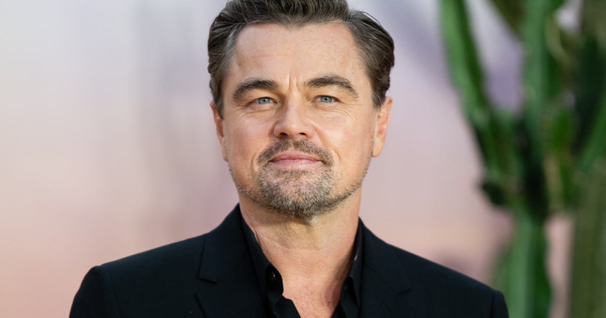 Az utcán keresett pénzt Leonardo DiCaprio, mielőtt befutott: ki nem találod, mivel foglalkozott