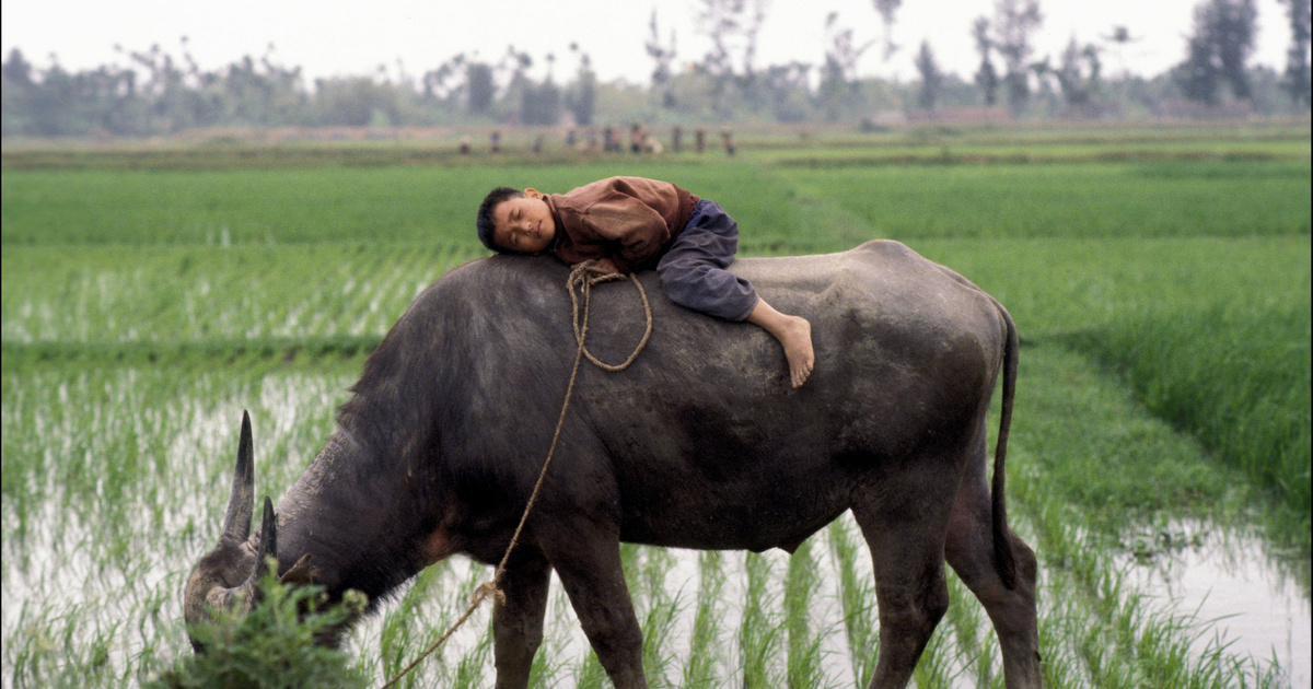 Vietnám: kommunista sereghajtóból regionális középhatalom