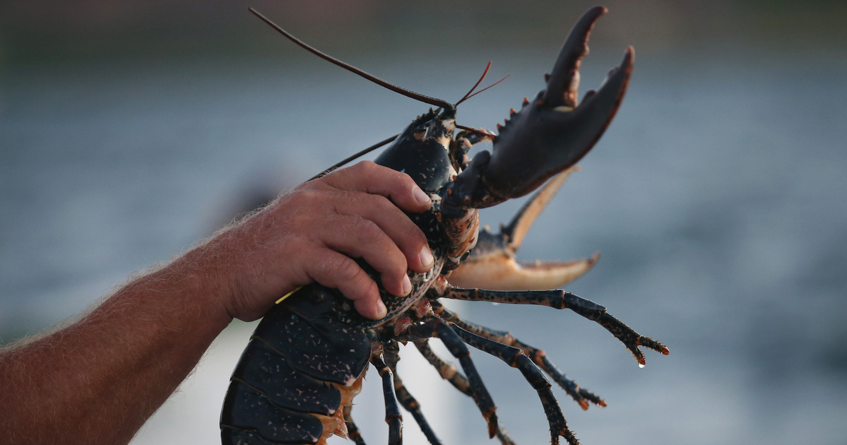 Egy karnyújtásnyira lehetünk a halhatatlanságtól