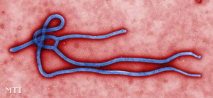 Ebolavírus