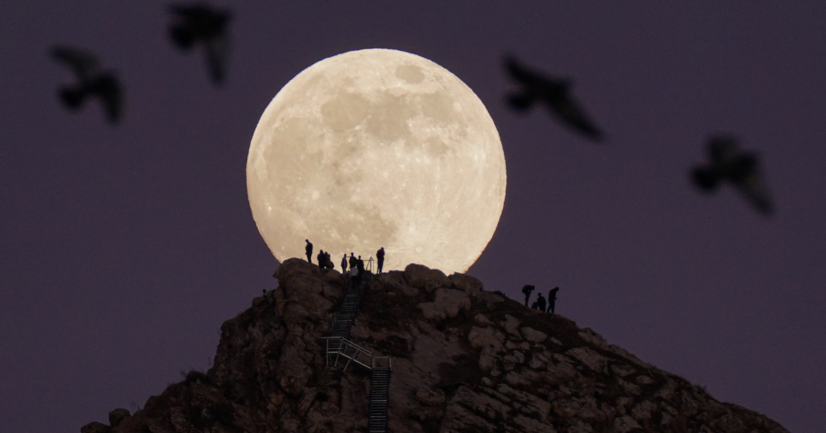 Veszélyben a magyar daganatos betegeket, és a germán gyógytudomány miatt