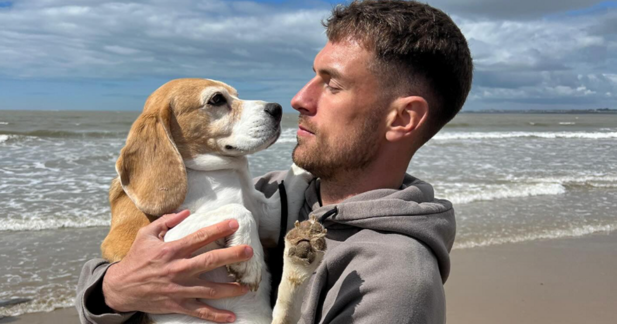 Átlagember éves fizetését ajánlotta fel a labdarúgó annak, aki megtalálja Halót