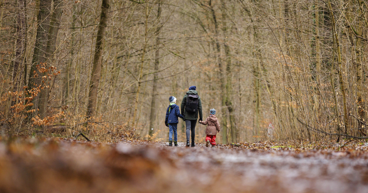Index – Belföld – Miért nem segít a pénz? Ez a magyar családpolitika igazi problémája