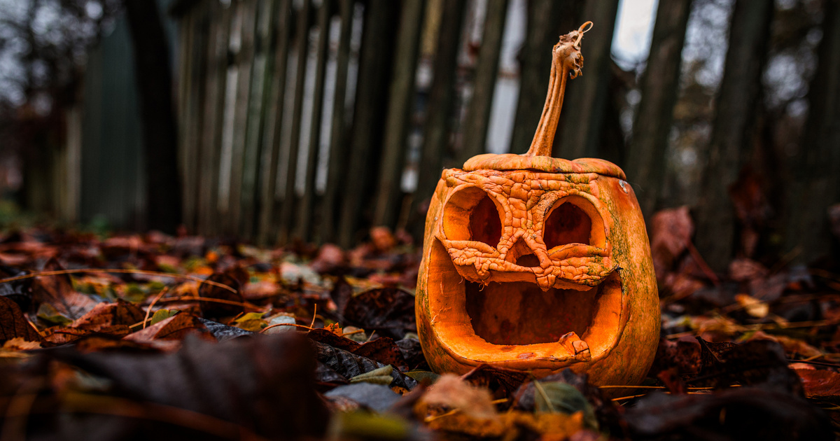 Betiltották a tökfaragást ebben a magyar községben: a polgármester ezzel indokolta furcsa döntését