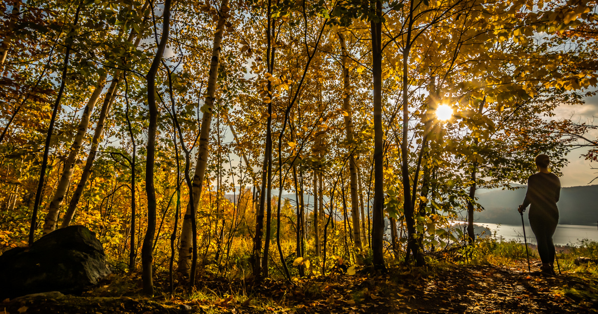 Ősszel varázslatos színkavalkád fogad ezeken a kirándulóhelyeken - 5 festői kilátópont itthon