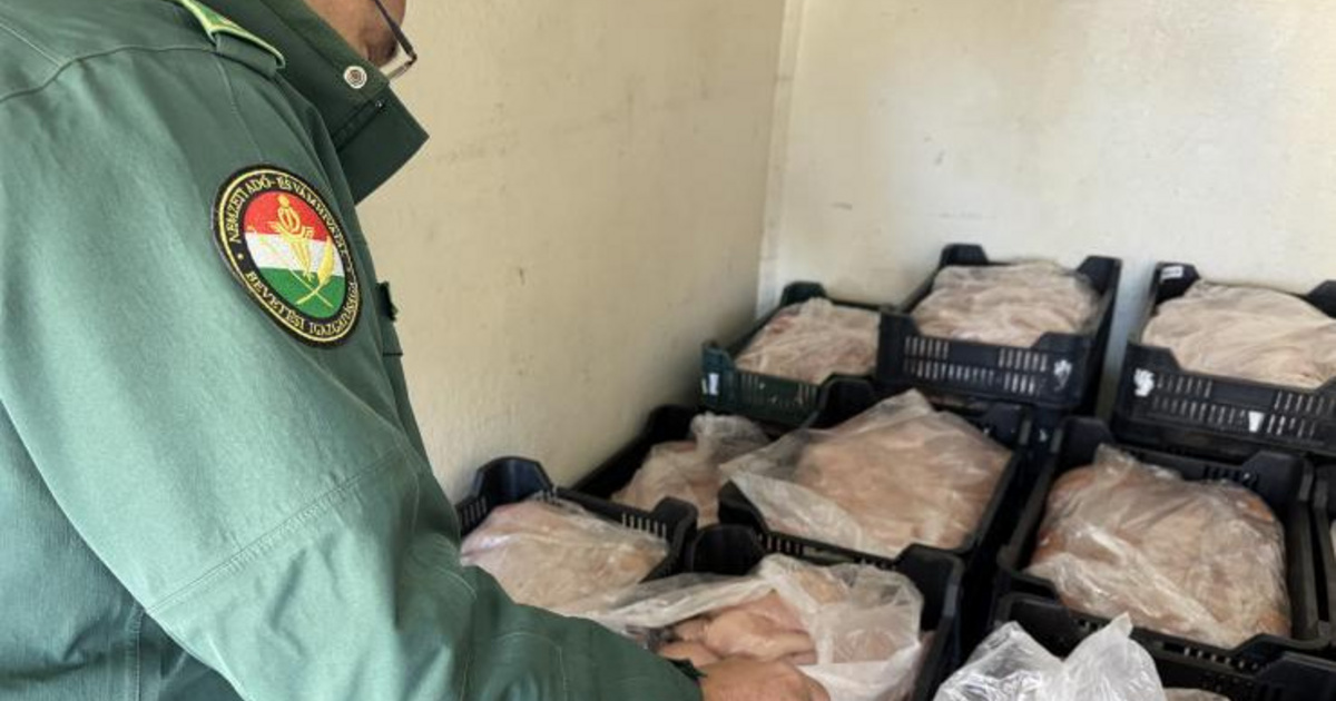 Index – Belföld – Több mint nyolcszáz kiló romlott csirkét foglalt le a NAV