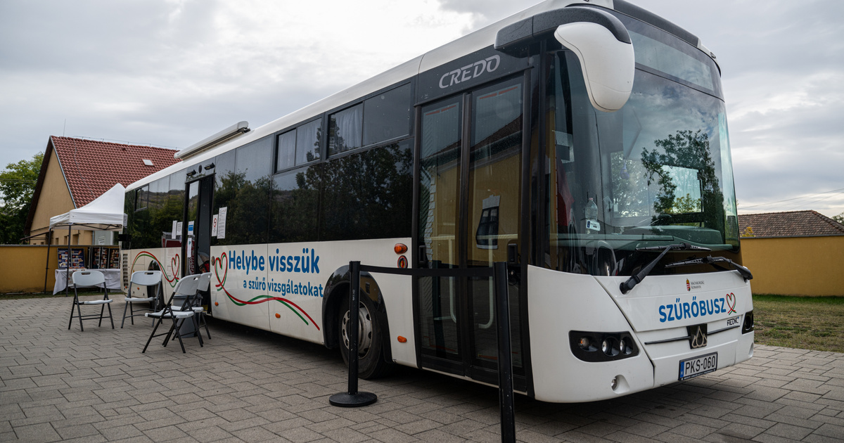 Index – Belföld – „Ne legyen szégyenlős, szabaduljon meg nyugodtan az alsónadrágjától!” – szűrőbuszo…