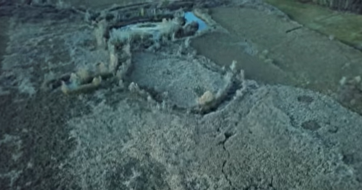 Index – Belföld – Élet-halál küzdelem az ócsai mocsárban, kis híján elnyelte a láp az óvatlan turist…