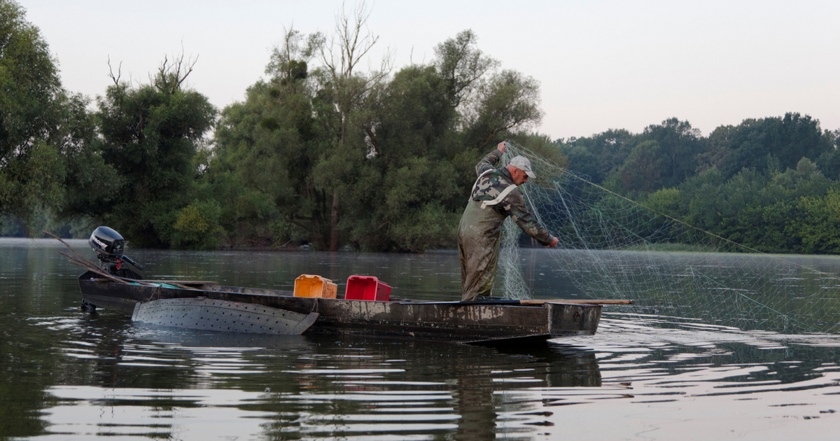 Elképesztő dolgokat hagynak a magyarok a hazai vizekben, a revolver csak a kezdet