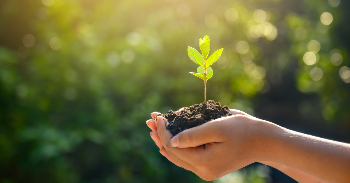 Nem mérgez, mégis folyamatosan pusztítja a bolygót – Magyar kutatónő dolgozik a fenntartható ammóniagyártás megoldásán