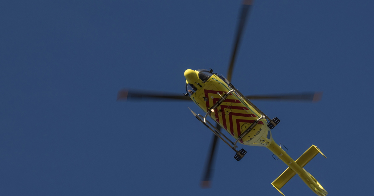 Szikláról zuhant le egy sportoló a Vértesben, láncfűrésszel és mászóövekkel mentették meg