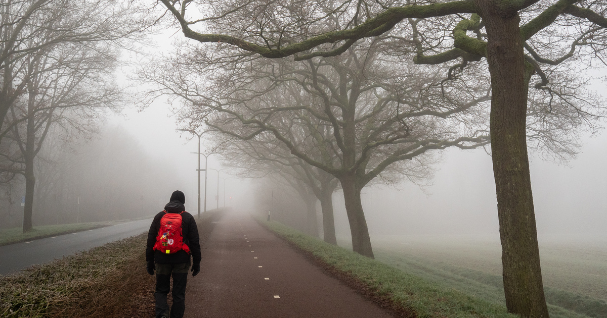 Index – Belföld – Tartósan ködös, borult idő marad csütörtökön – több vármegyére is figyelmeztetést …
